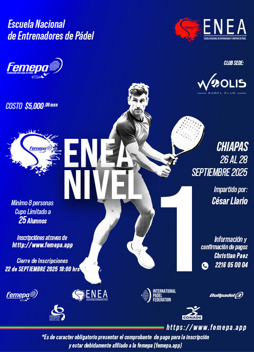 ENEA N1 CHIS 2025