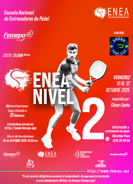 ENEA N2 VER2 2025
