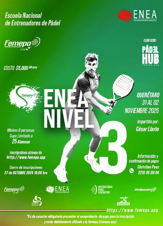 ENEA N3 QRO 2025