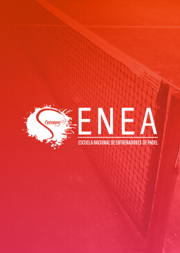 ENEA N2 VERACRUZ 2026